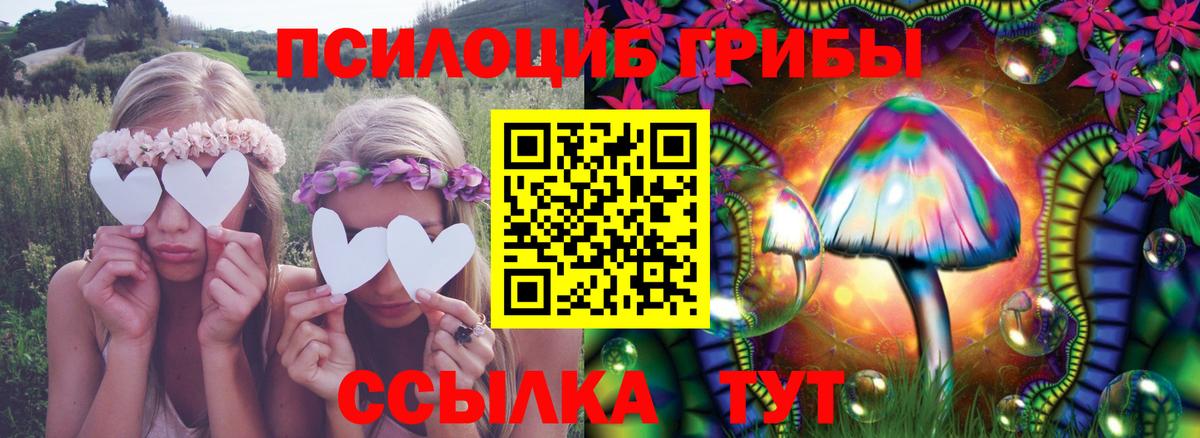 Галлюциногенные грибы Psilocybe Отрадное